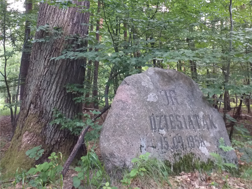 Dziesiątak - pamiątkowy kamień łowiecki w Lasach Rudzkich